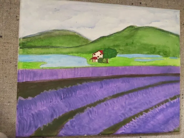 Lavender Fields When I Was 16