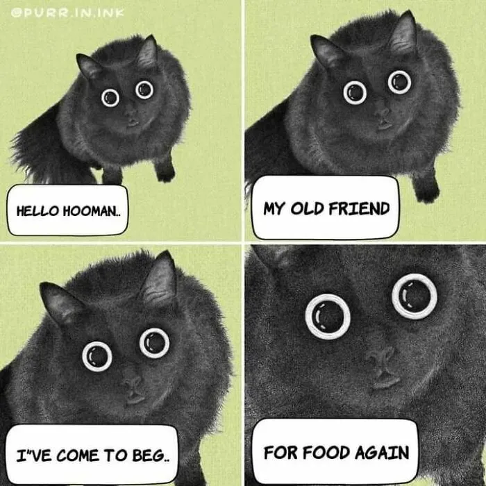 This Artist Makes Wholesome Illustrations About Cats, And Here Are His 60 Best Ones