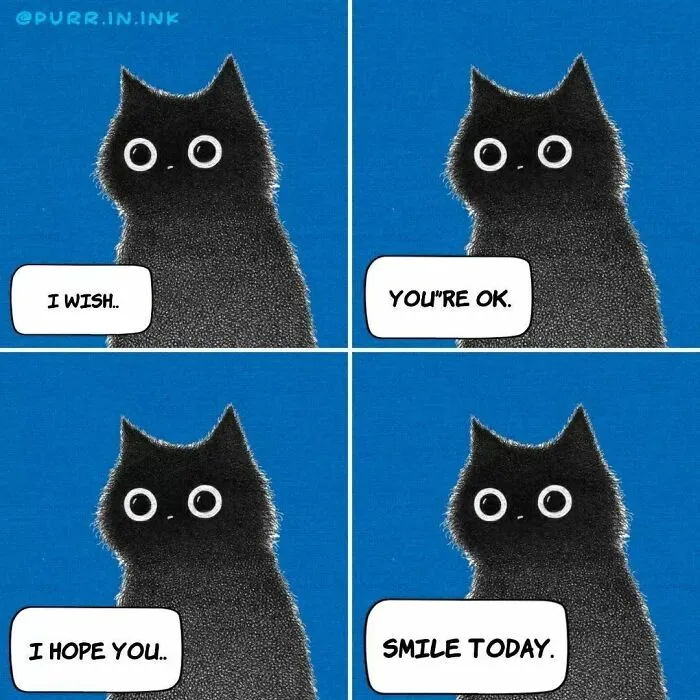 Wholesome illustrations of a fluffy black cat wishing for happiness, with the text I wish you're ok, I hope you smile today.