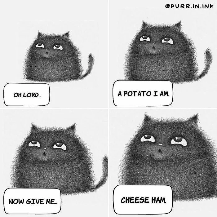 Four-panel wholesome illustration of a fluffy black cat changing expressions, with text, Oh lord, a potato I am. Now give me cheese ham.