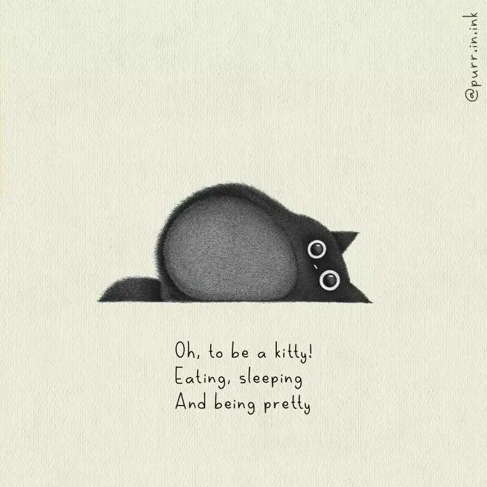 Wholesome illustration of a black cat lying on its belly, with text saying, Oh, to be a kitty! Eating, sleeping And being pretty.