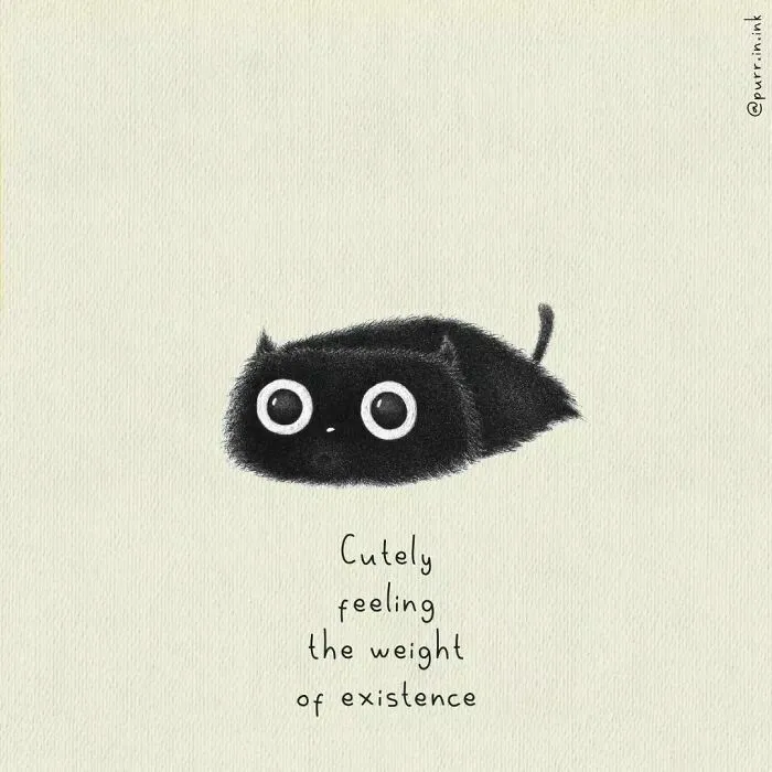 Wholesome illustration of a fluffy black cat looking wide-eyed, with text saying, Cutely feeling the weight of existence.