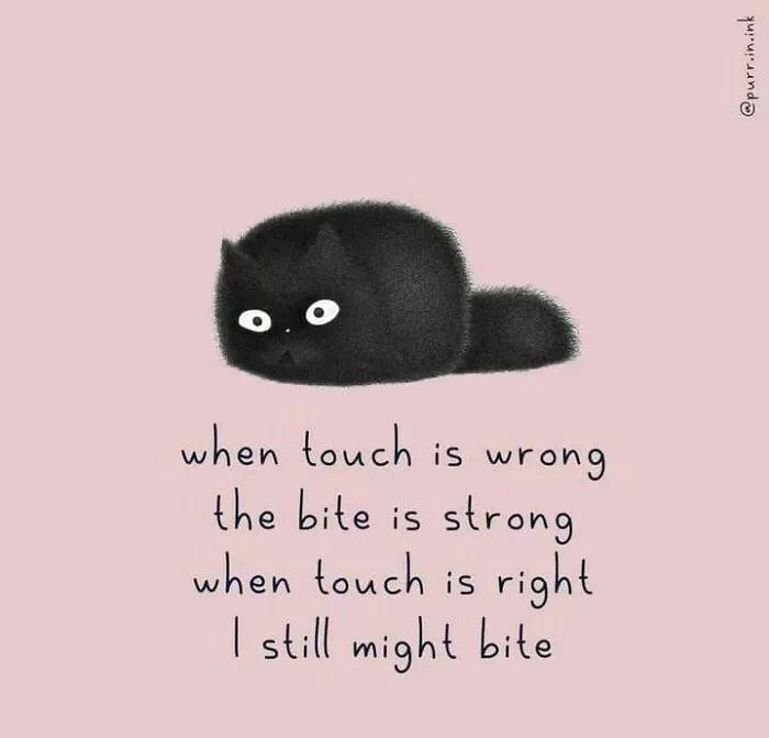 This Artist Makes Wholesome Illustrations About Cats, And Here Are His 60 Best Ones