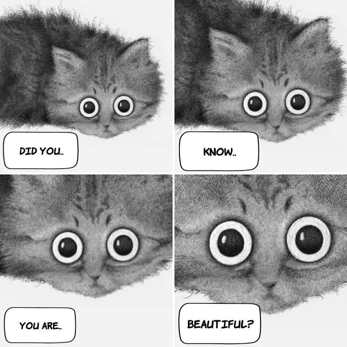Wholesome illustration about cats: a fluffy cat with big eyes looking at the viewer, with text bubbles saying, Did you, Know, You are, Beautiful?