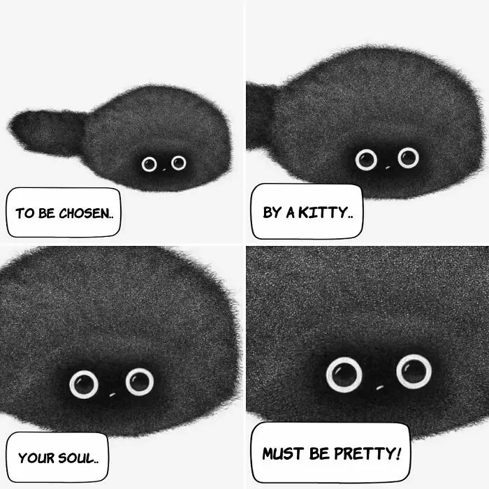 Wholesome illustration about cats: a round, fluffy black cat with big eyes, with text bubbles saying, To be chosen, By a kitty, Your soul, Must be pretty!