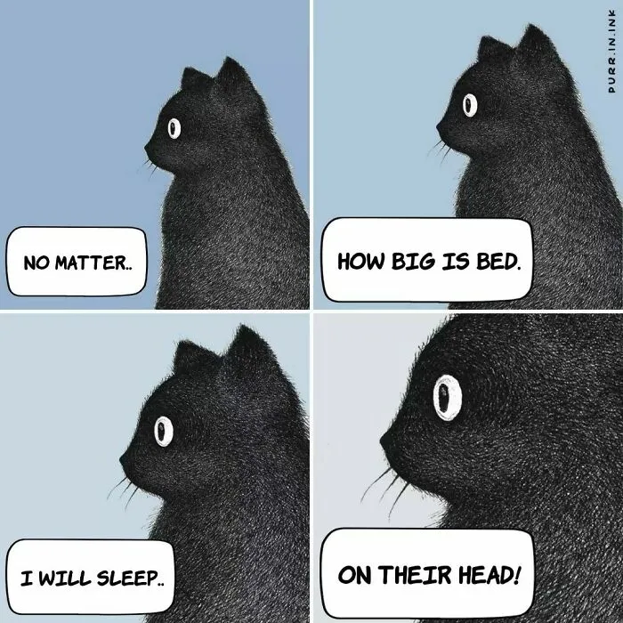 This Artist Makes Wholesome Illustrations About Cats, And Here Are His 60 Best Ones