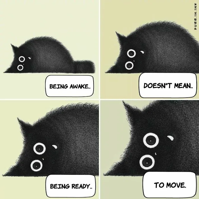 This Artist Makes Wholesome Illustrations About Cats, And Here Are His 60 Best Ones