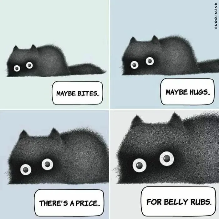 Wholesome illustration of a black cat explaining the price for belly rubs in a four-panel comic.