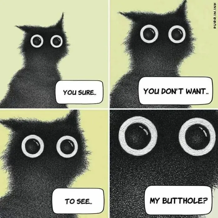 This Artist Makes Wholesome Illustrations About Cats, And Here Are His 60 Best Ones