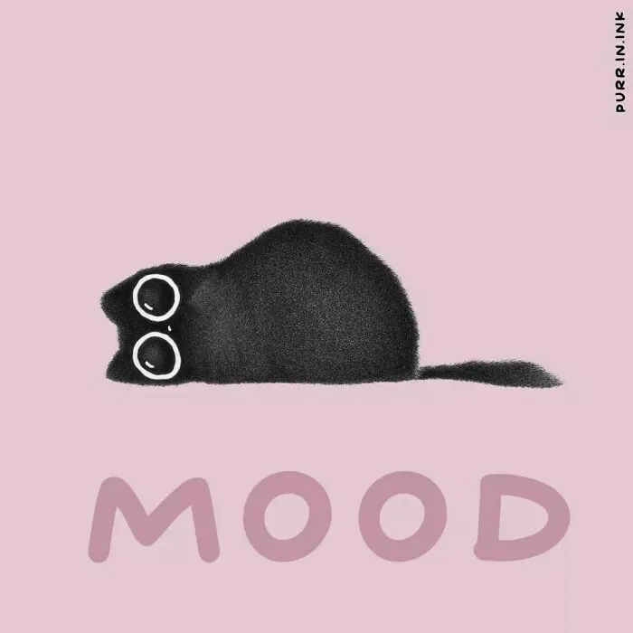 Wholesome illustration of a black cat lying flat with big eyes and a mood caption.
