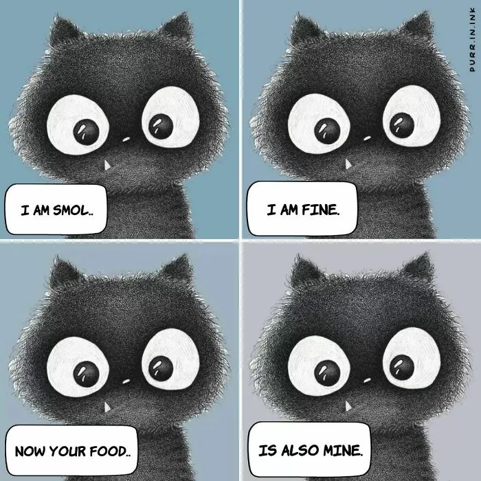 Wholesome illustration of a black cat asserting ownership of food with big eyes.
