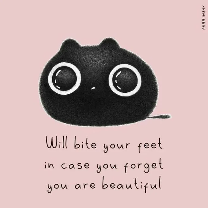 A fluffy black cat illustration with large white eyes and tiny ears, accompanied by the text 'Will bite your feet in case you forget you are beautiful'. Wholesome illustrations of cats.