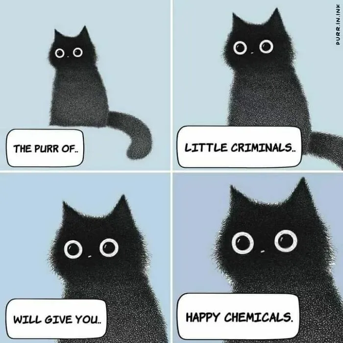 This Artist Makes Wholesome Illustrations About Cats, And Here Are His 60 Best Ones