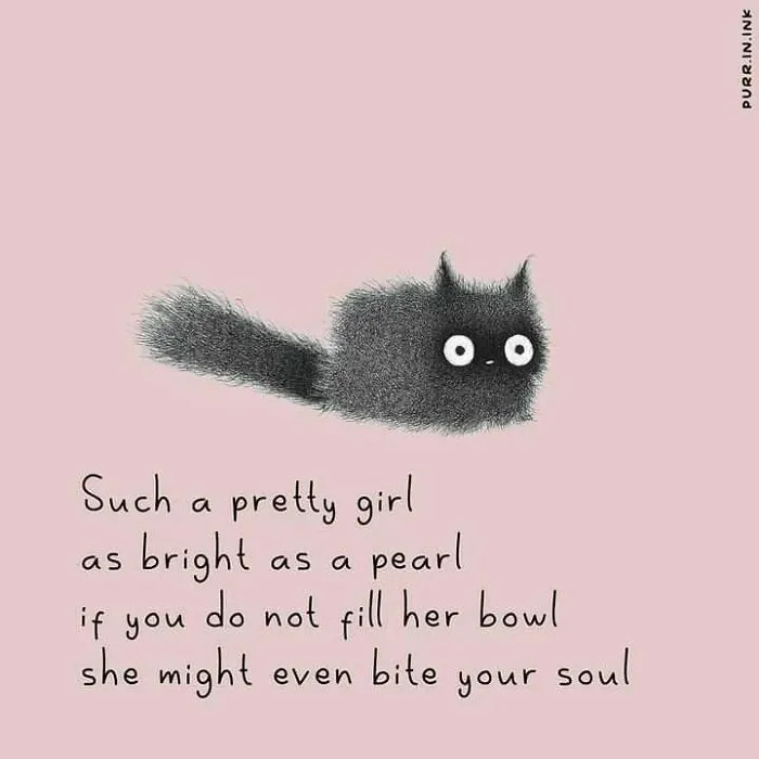 An illustration of a fluffy black cat and a poem about filling her bowl, one of the wholesome illustrations about cats.