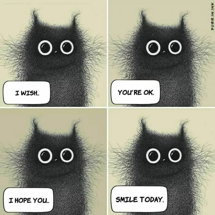A comic illustration of a fluffy black cat expressing wishes for someone to be okay and to smile, part of wholesome illustrations about cats.