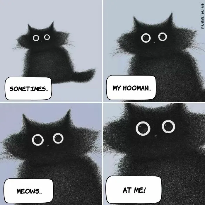 Wholesome illustration of a black cat with big eyes, expressing its owner sometimes meows at it.