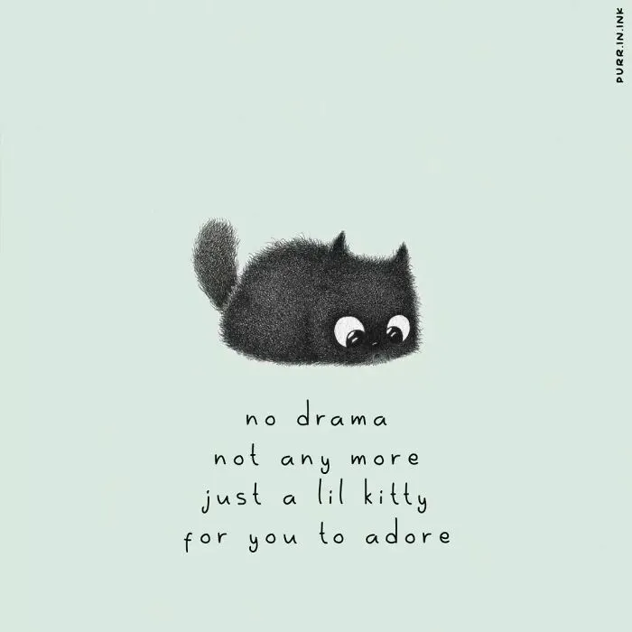 Wholesome illustration of a small, fluffy black cat with big eyes, caption: No drama, just a lil kitty to adore.