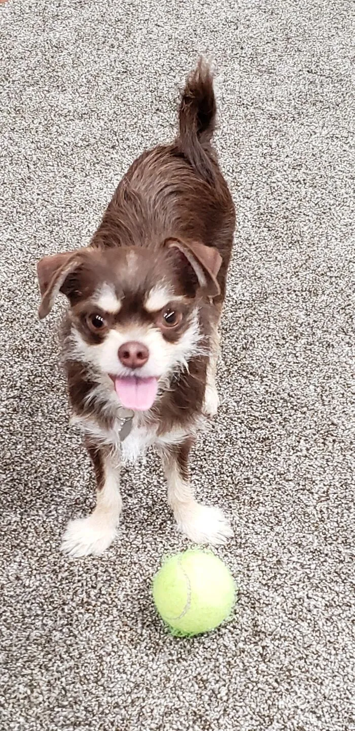 Throw It!