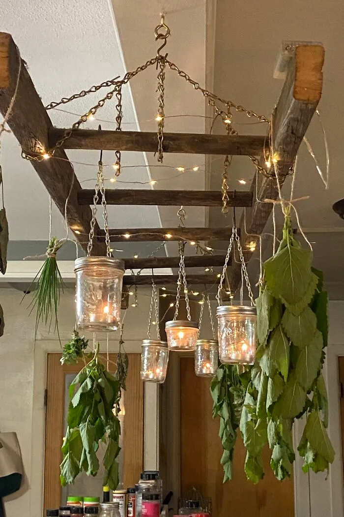 Herb Drying Season!