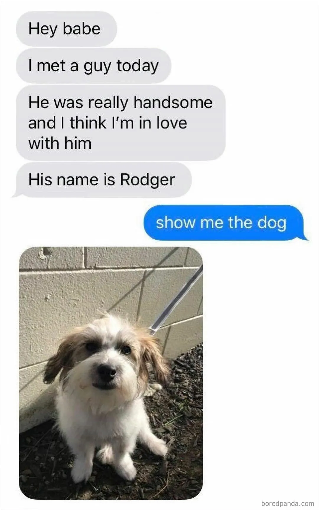 Who Wouldn't Love Rodger?