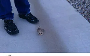 50 Unexpectedly Wholesome Situations To Brighten Your Day (New Pics)