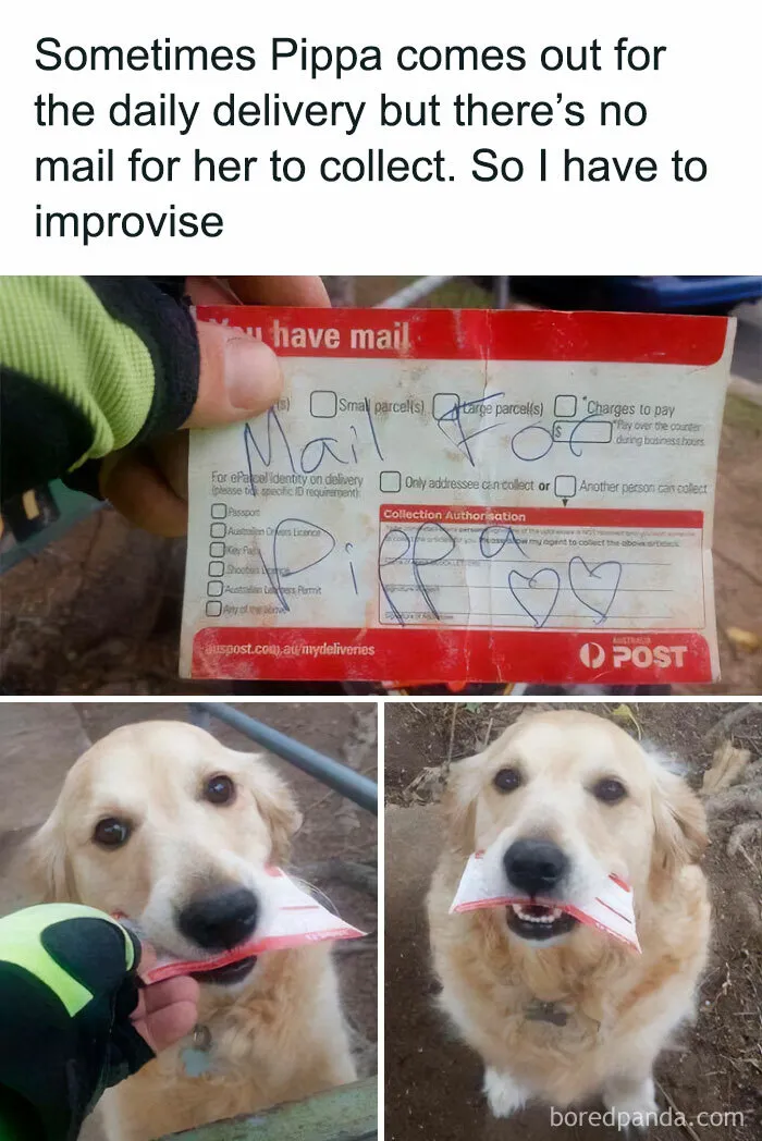 Postgirl Pippa