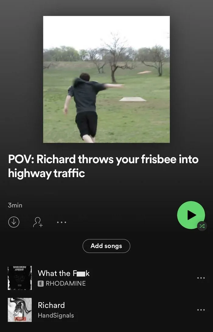 Pov: Richard Throws Your Frisbee Into Highway Traffic