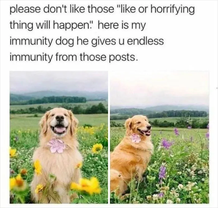 2.1M People Follow This Facebook Page For Its Feel-Good Content And Here Are 40 Of Its Best Posts