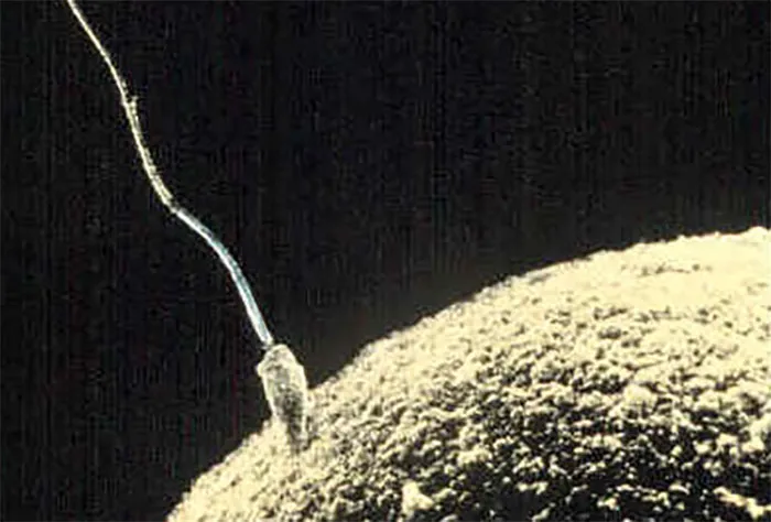 Microscopic Matchmaker Moments