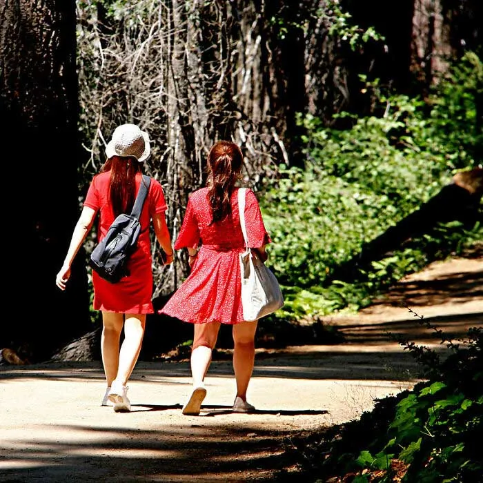 Do Not Take Things From National Parks