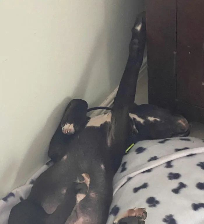 He Slept Like This For A Hour
