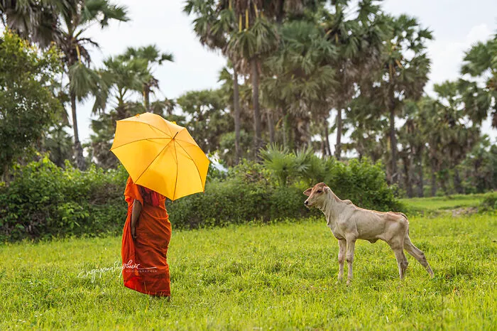I Documented The Home-Leaving Tradition Among Khmer Buddhists (30 Pics)