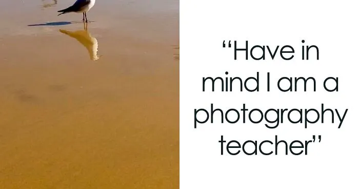 50 Bird Pics That Went Horribly Wrong But Ended Up With Hilarious Results, As Shared On This Facebook Group