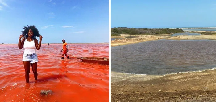 Expectation vs. Reality. Travel Edition