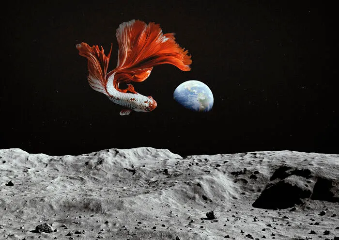 I Like To "Look At Usual Things With Unusual Eyes", Here Are 28 Surreal Images I Created