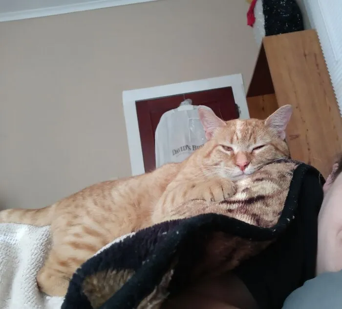 Human Pillow