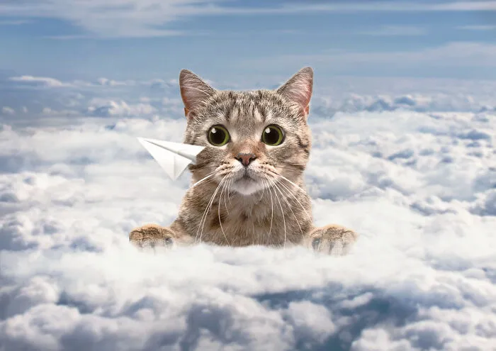 I Like To "Look At Usual Things With Unusual Eyes", Here Are 28 Surreal Images I Created
