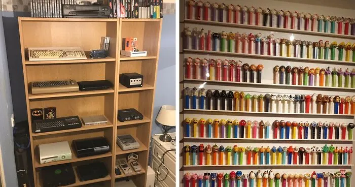 "What Do You Collect?": User Asked Pandas To Show Their Collections And 50 People Delivered
