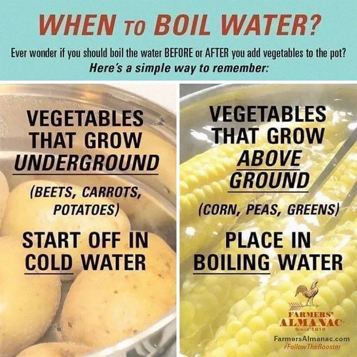 When To Boil Water To Cook Vegetables