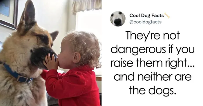 30 Tweets That Show Dogs Are Truly Man's Best Friends, Shared By This Twitter Account Dedicated To Cool Dog Facts