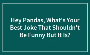 Hey Pandas, What's Your Best Joke That Shouldn't Be Funny But It Is? (Closed)