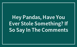 Hey Pandas, Have You Ever Stole Something? If So Say In The Comments (Closed)