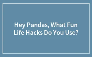 Hey Pandas, What Fun Life Hacks Do You Use? (Closed)
