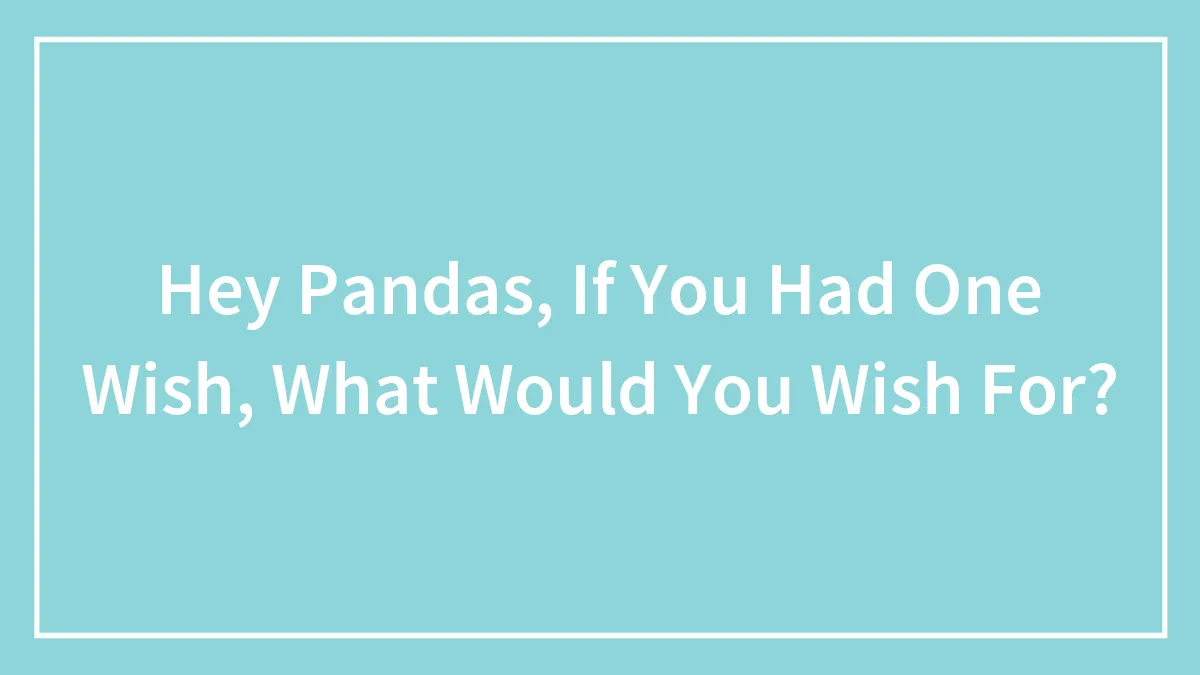 Hey Pandas, If You Had One Wish, What Would You Wish For? (Closed)
