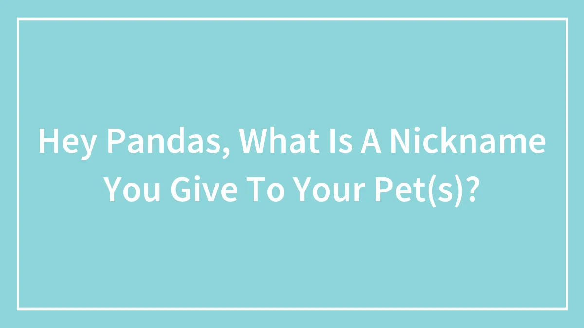 Hey Pandas, What Is A Nickname You Give To Your Pet(s)?
