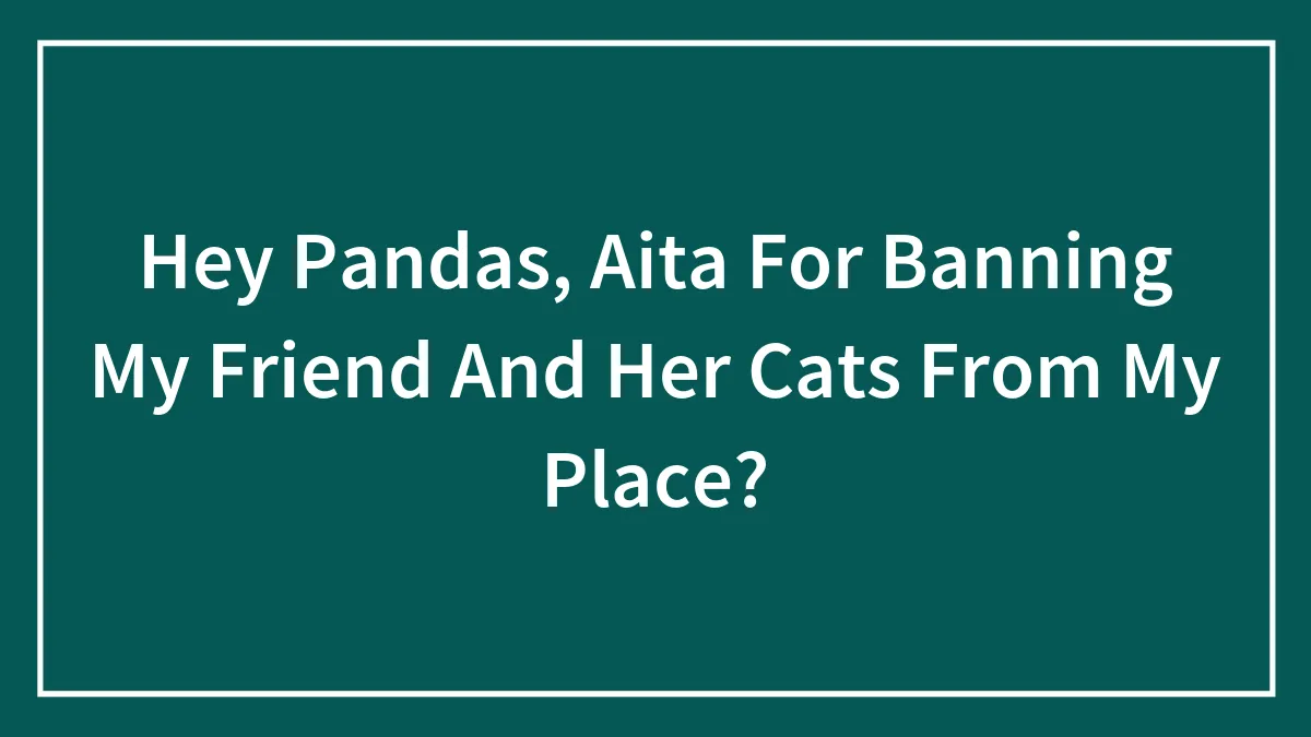 Hey Pandas, Aita For Banning My Friend And Her Cats From My Place?