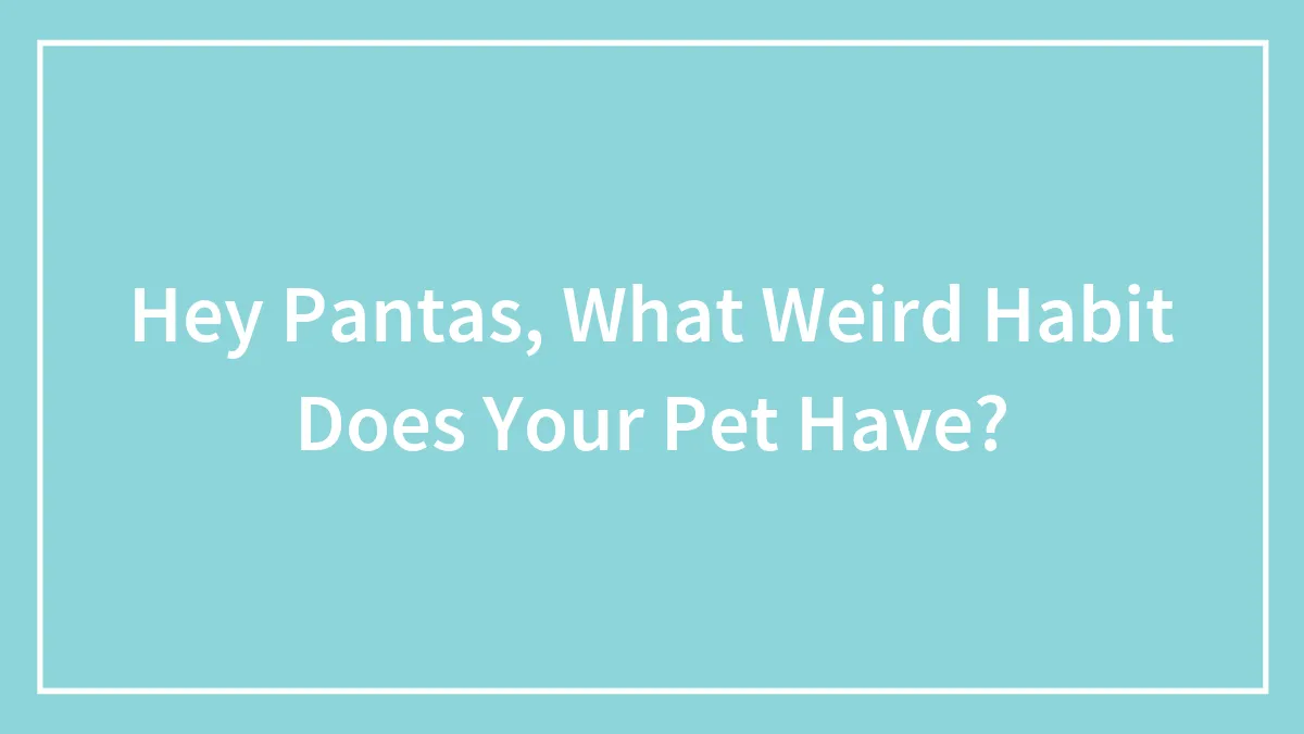 Hey Pandas, What Weird Habit Does Your Pet Have?