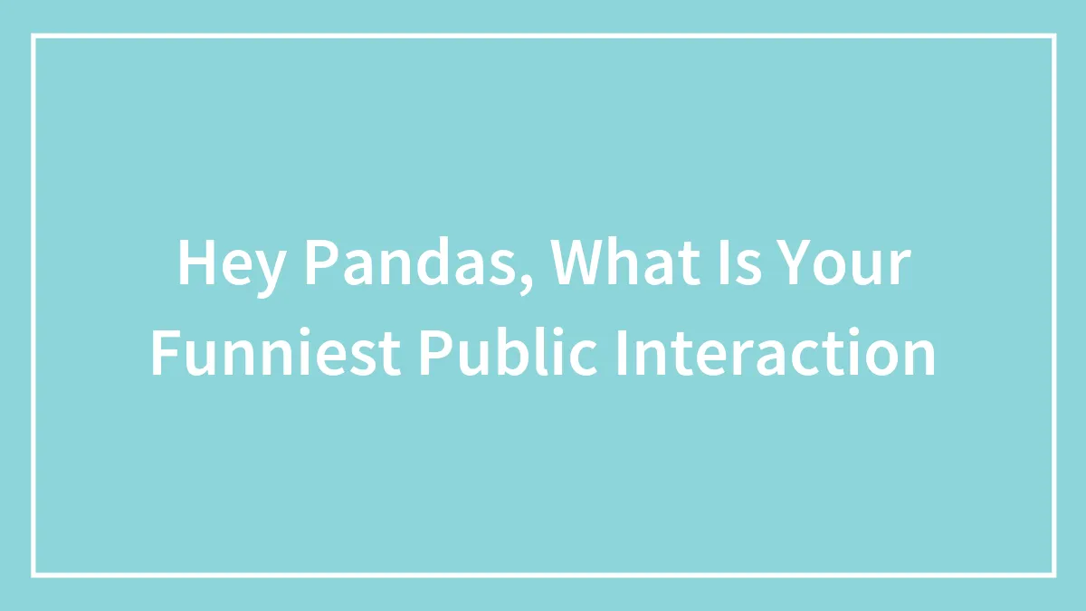 Hey Pandas, What Is Your Funniest Public Interaction