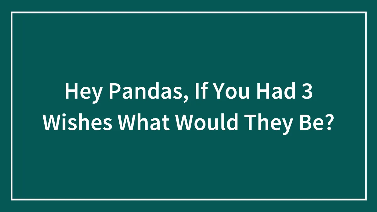 Hey Pandas, If You Had 3 Wishes What Would They Be? (Closed)