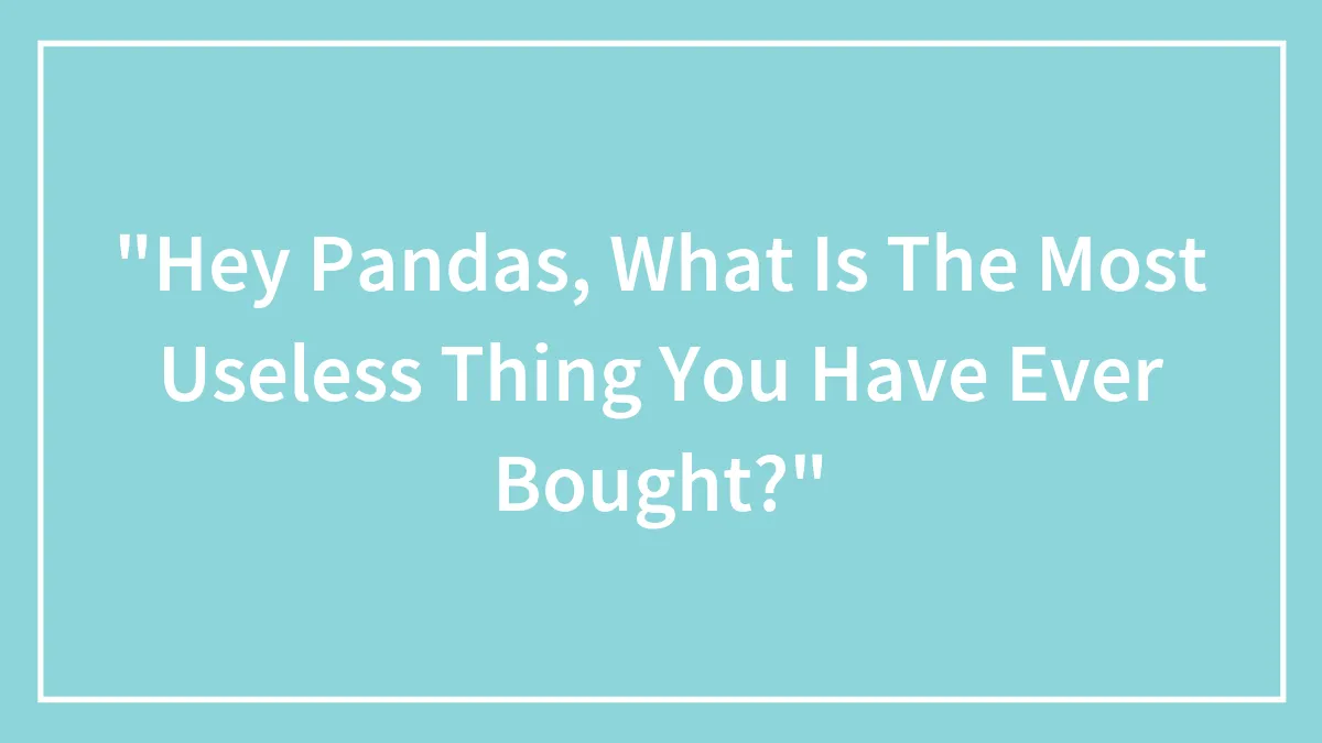"Hey Pandas, What Is The Most Useless Thing You Have Ever Bought?"